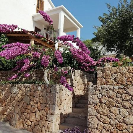 Apartmani Nila Sveta Nedelja  Dış mekan fotoğraf